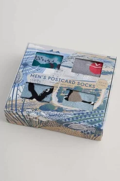 Socks<Seasalt Cornwall Box Of 4 Men's Postcard Socks Windyridge Mix