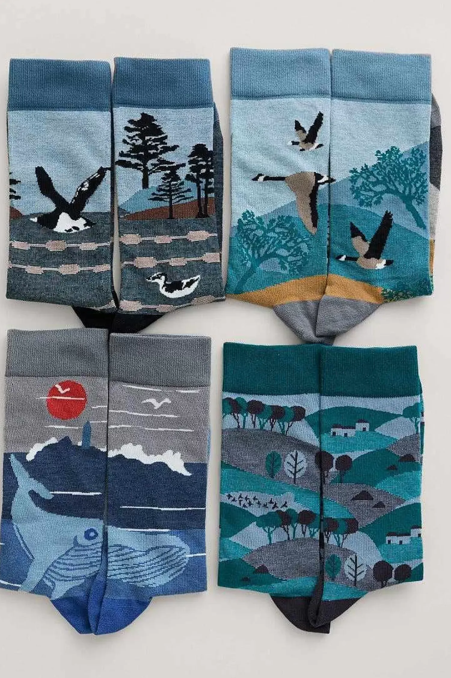 Socks<Seasalt Cornwall Box Of 4 Men's Postcard Socks Windyridge Mix