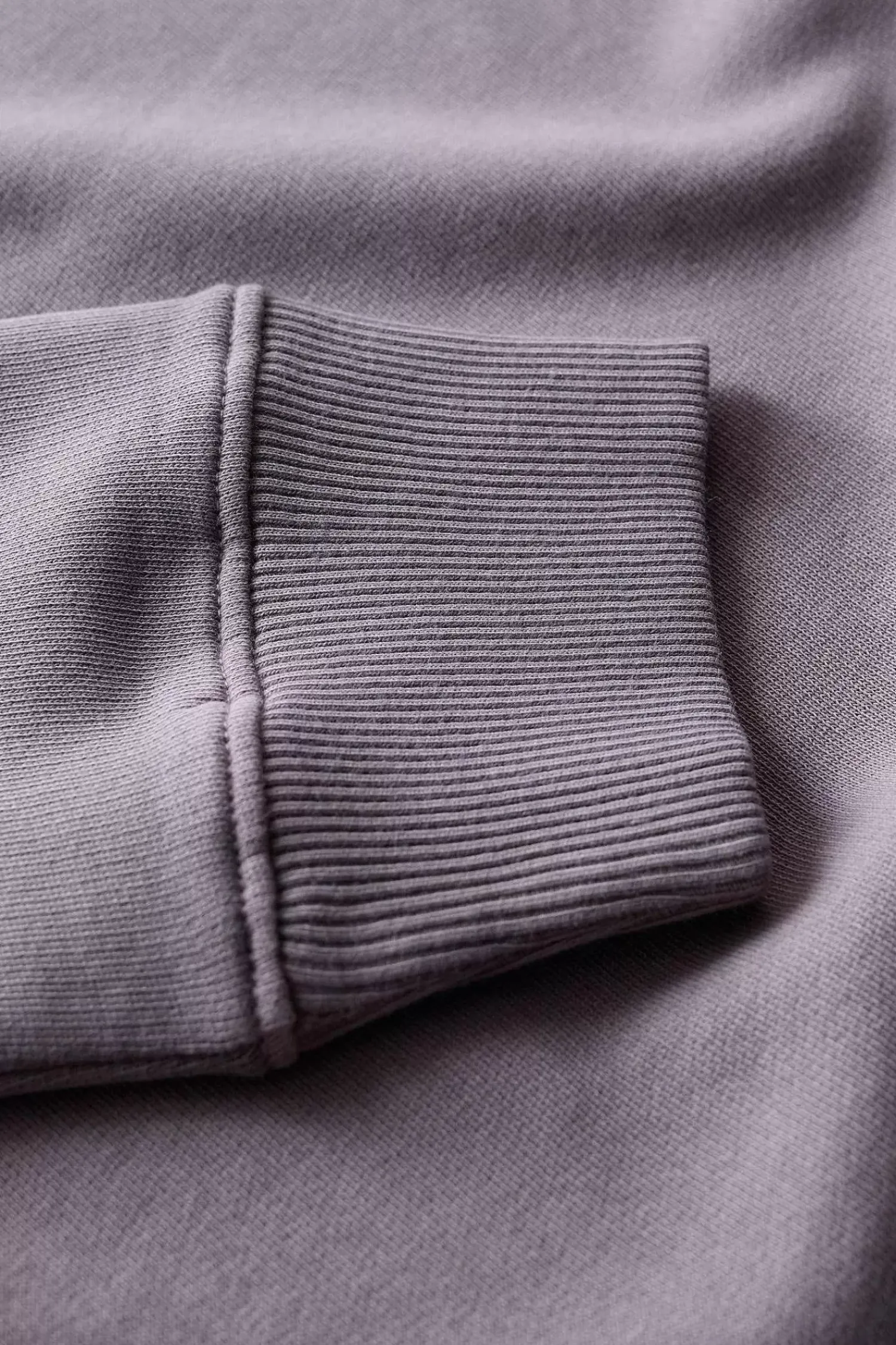 Tops<Seasalt Cornwall Hawkmoth Organic Cotton Sweatshirt Grape Thistle