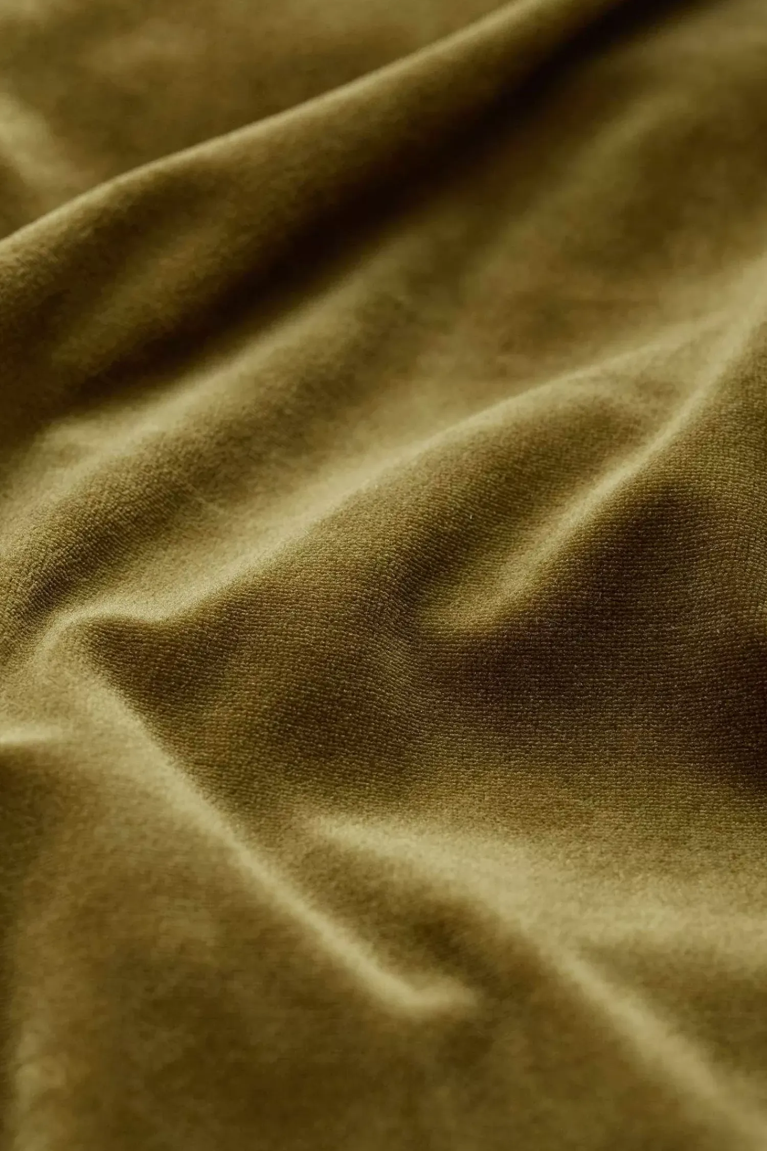 Tops<Seasalt Cornwall Kowan Velour Sweatshirt Bright Olive