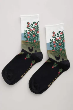 Socks & Tights<Seasalt Cornwall Women's Postcard Organic Cotton Socks Orchard Trees Onyx